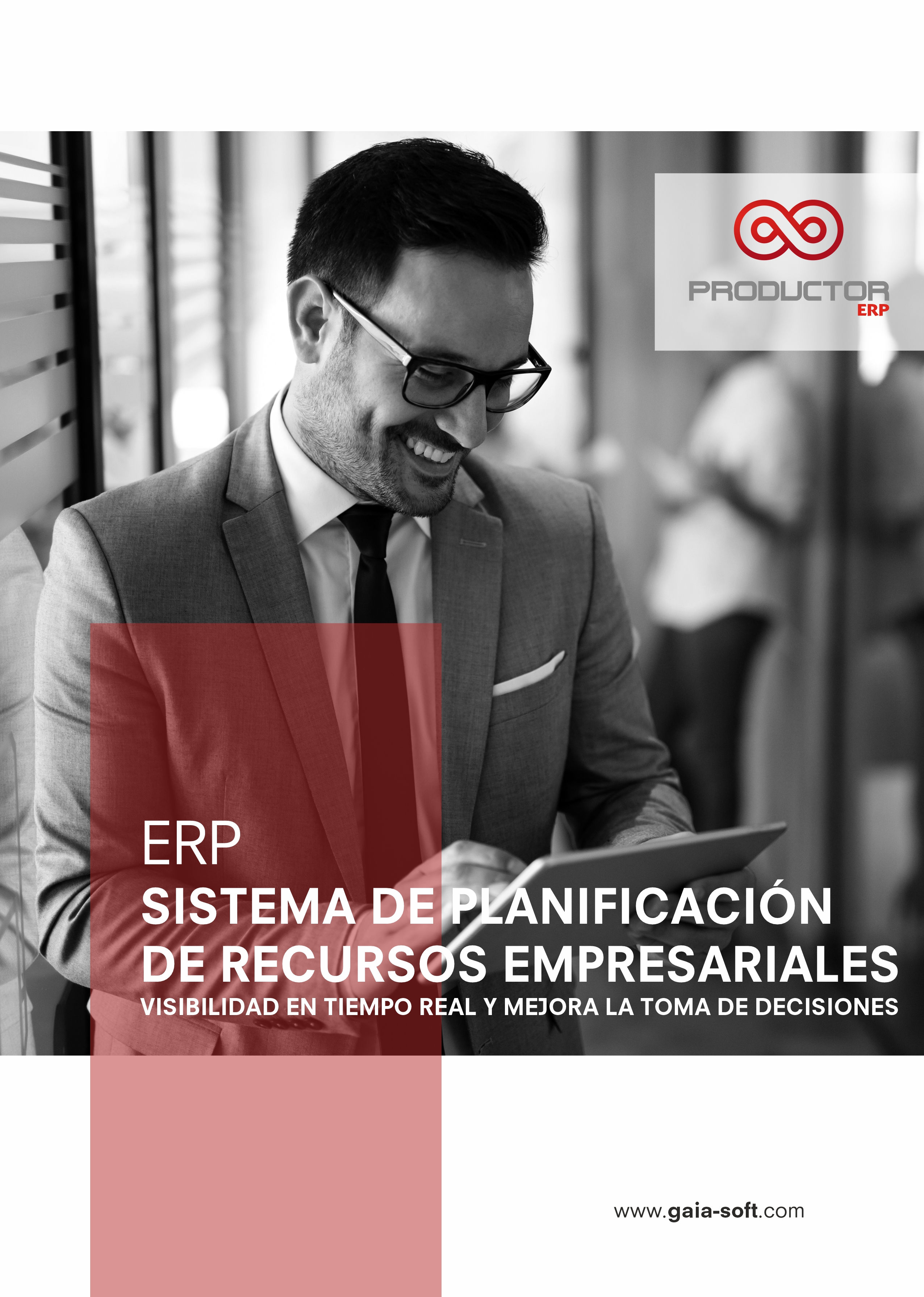 PRODUCTOR ERP